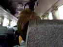 Een vermoeiende busreis in Cambodia... (Aart)