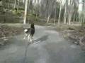 Bikejor 01.12.07