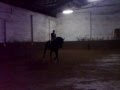 videos de Dressage- Adéla a Cherubino 2 TRAKEHNER