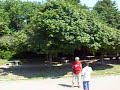 r992/993 timisoara mangalia intra in eforie nord dinspre ctz
