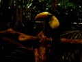 2 cans - costa rica