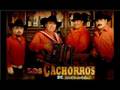 Los Cachorros De Juan Villarreal Que Puedo Hacer Official Music Video and Lyrics