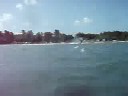 videos Surf
