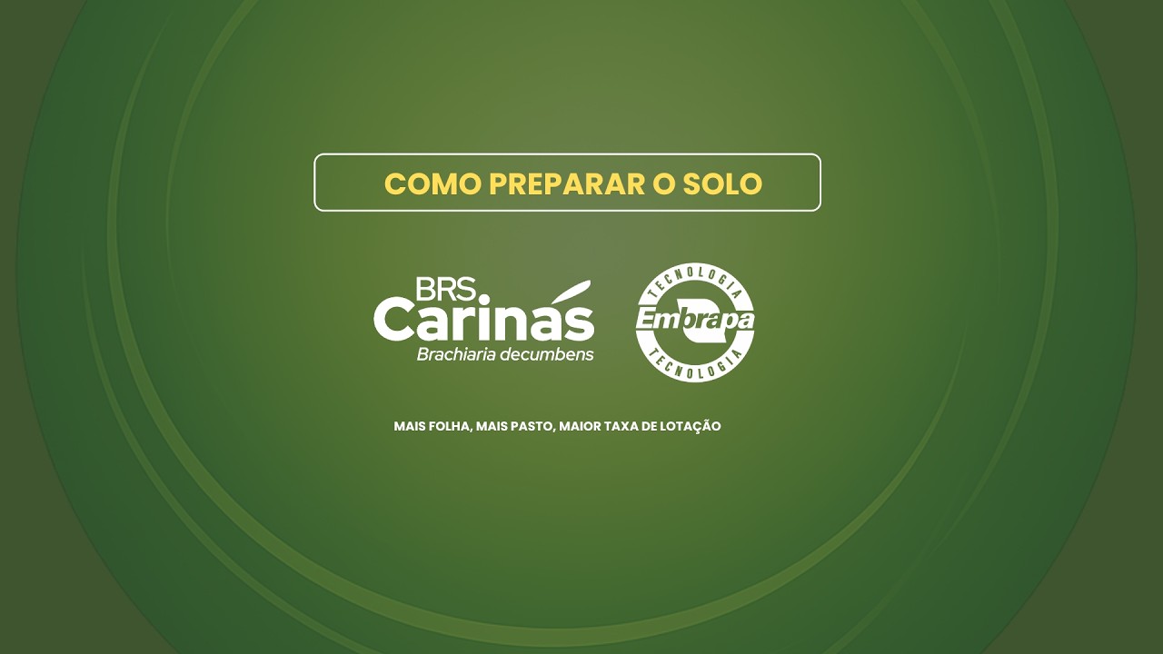 BRS Carinás: como preparar o solo