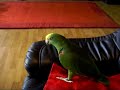auf dem sofa auf dem sofa