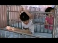 Click here to watch this video sad letter 悲しい手紙 - l'emis'r official 新しい歌子供のための