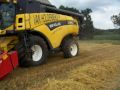 Loonbedrijf Van Holderbeke Gerst dorsen Loonbedrijf Van Holderbeke Gerst dorsen
