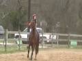 videos de Child Broke Horse For Sale All Around $1500 Horse Show Horse