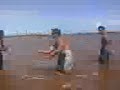 Los Pm Del Vivero En Chichiriveche ok
