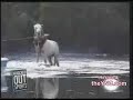WATERSKIING HORSEY WATERSKIING HORSEY