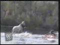 WATERSKIING HORSEY