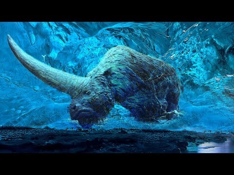 RAREST Prehistoric Animals That Existed Long Ago!
