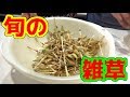 YouTube 動画ポップアップ再生
