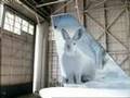 Frontier Airlines Commercial #1