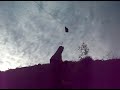 Logging