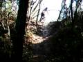 Santos Vortex Scott-Neb steep decline