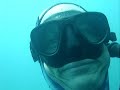 SPEARFISHING PUERTO RICO