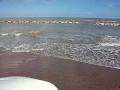 videos de Mareggiata Marina Vecchia