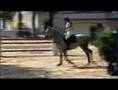 Coralie L Springpferde M 2007