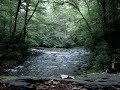 peaceful stream