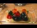 Jello Experiment (Requested)