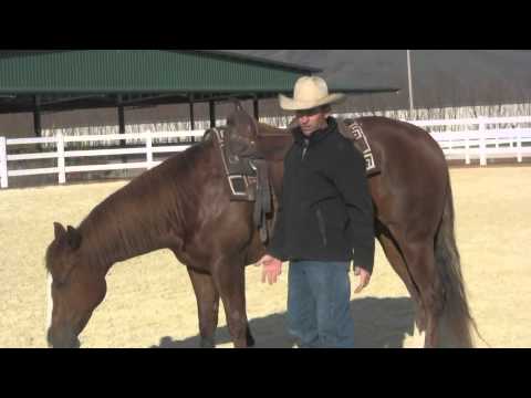 how to fasten a western saddle