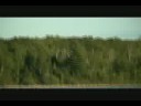 MONACLE LAKE PART 2