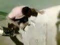 Babosos peleandose parte 2