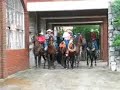 Jesus Carranza Caballos Saltarines TrotaMexico Jesus Carranza Caballos Saltarines TrotaMexico
