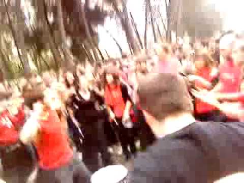 Imagen de previsualización de YouTube