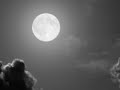 Esta Noche de Luna y Soledades - Manuel Bernal