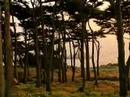 shakuhachi Photography