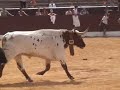 Riopar Toros Alberto Cozar Riopar Toros Alberto Cozar