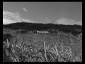 Middlesmoor Days.mov