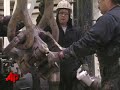 Money Minute: Black Friday, OPEC, Yahoo Money Minute: Black Friday, OPEC, Yahoo