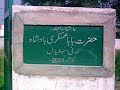 looni salyal