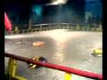 Stoke On Trent Feather Weight Competition 2