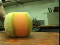 cantaloupe picture