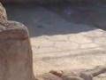 Israel - Masada