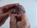 videos de Arcilla Polimerica - Modelado de cabeza por Educin - parte 4 de 10