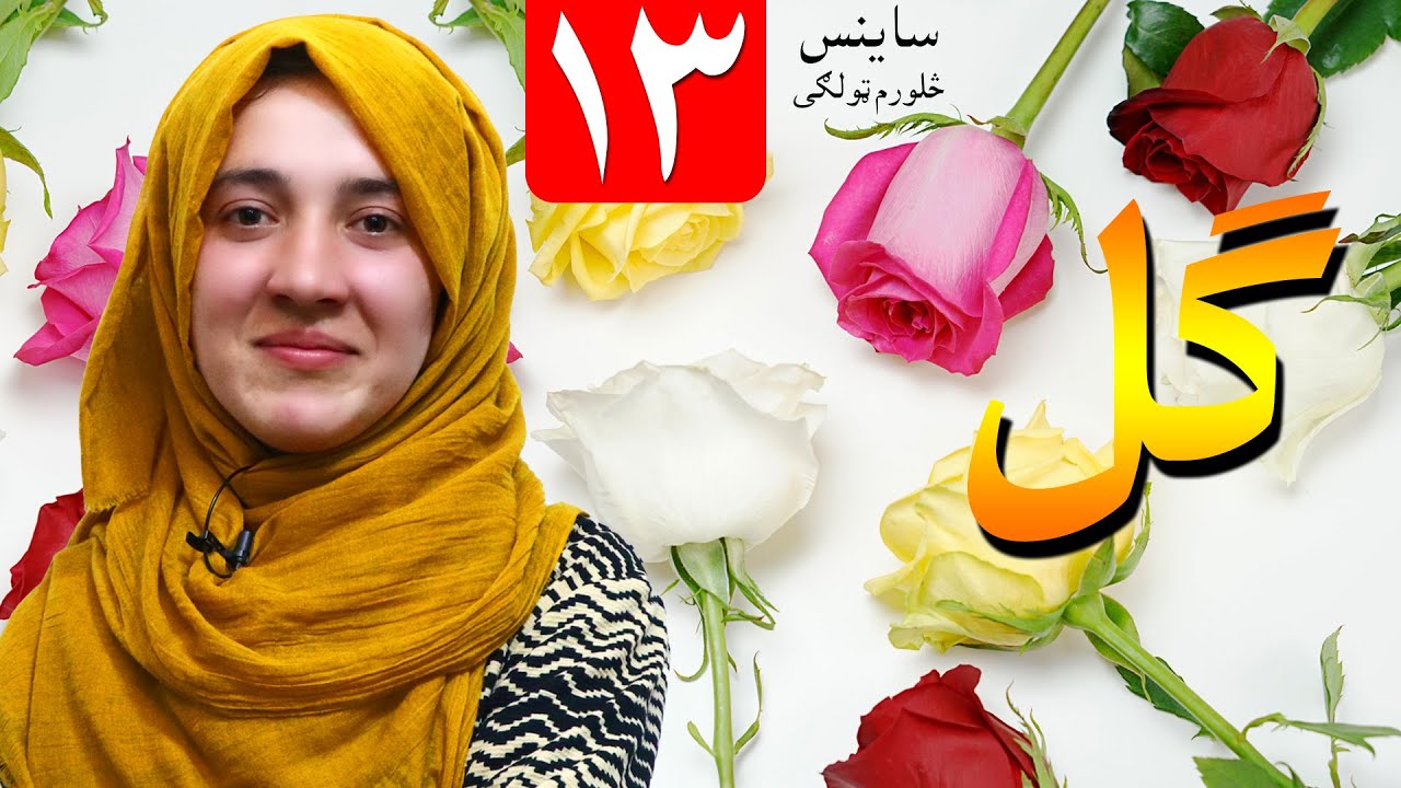 LESSON 13 _ Grade 4 SCIENCE / لوست ۱۳ـ د ساینس مضمون ـ څلورم ټولګی