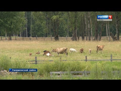 В Тверской области намерены развивать агротуризм