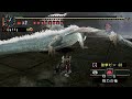[MHP2G]??? ?? A
