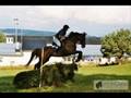 Nordisk feltritt, CIC**