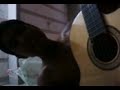 Vdeo