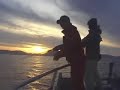 January Hamachi Sea of Japan! ??