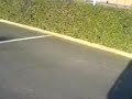 Dan Martin: Over the Hedge Dan Martin: Over the Hedge