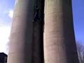 Gene on a Silo