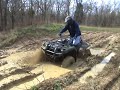 brute force 750 grizzly 660 kitty cat 700