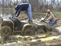 brute force 750 grizzly 660 kitty cat 700